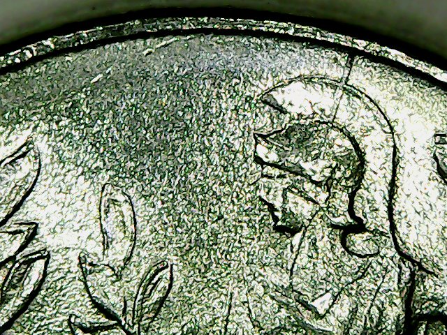 sena coins